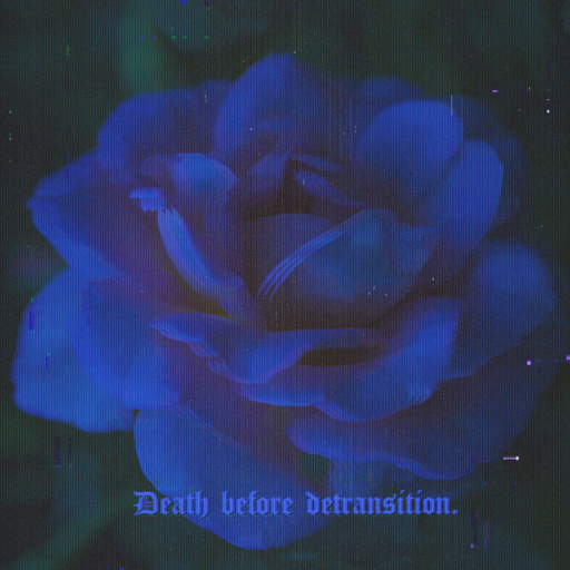 'Death Before Detransition' in ornate text overlayed like subtitles on a photograph of a glitchy blue rose