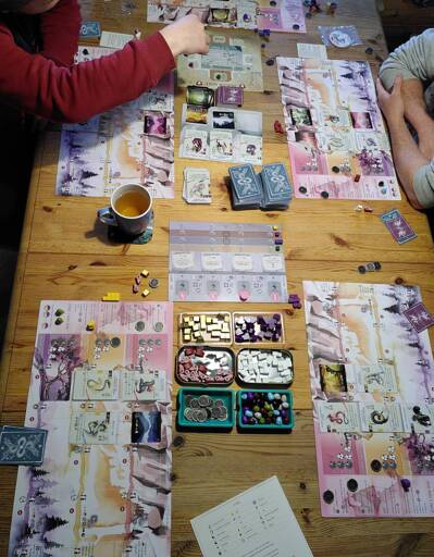 Ein Tisch mit dem Spiel Wyrmspan.